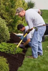 two of our contractor are making the final adjustements to the landscape