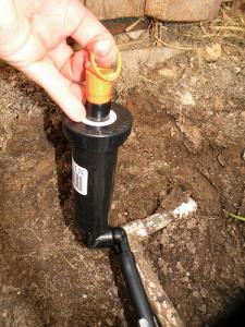 a new sprinkler head is being installed