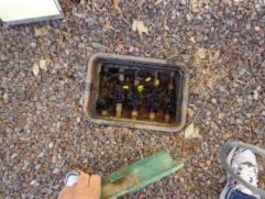 valve box inspection on a Coral Springs sprinkler repair job
